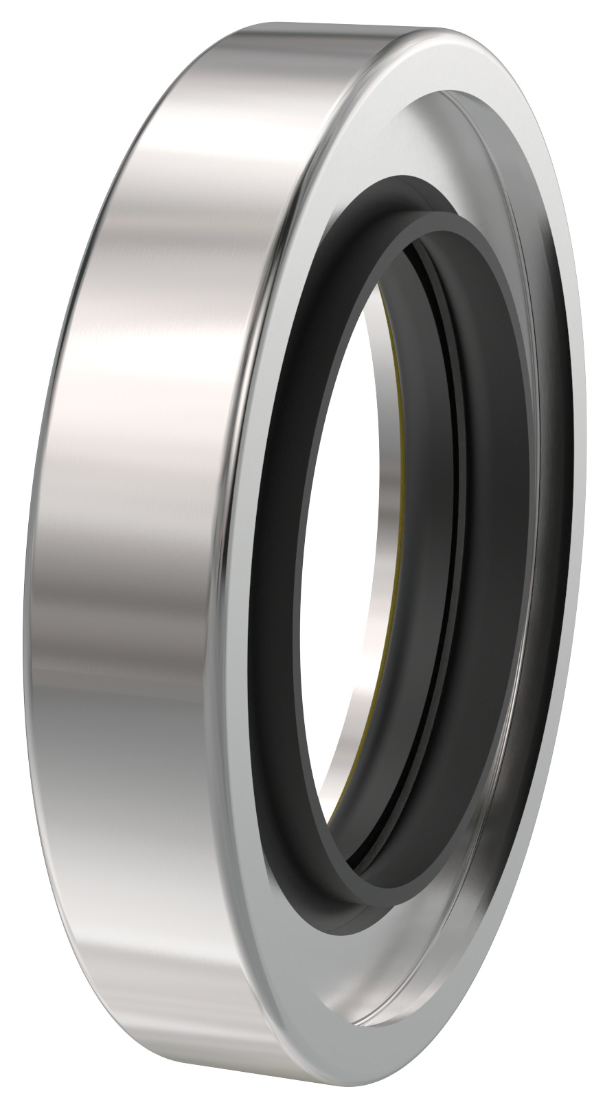 Type 200 Rotary Seal