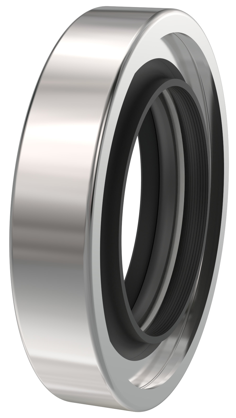 Type 410 DOUBLE LIP EXTRUDER FORMED Seal full